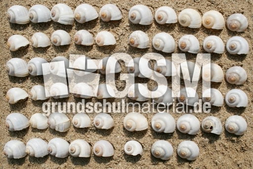 Schneckenhäuser-58.jpg
